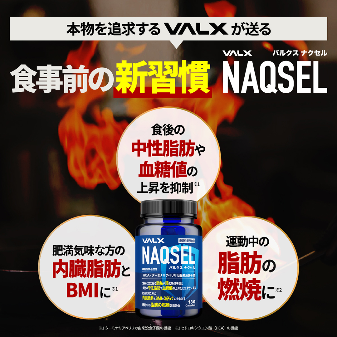 レッドギア+ナクセルセット