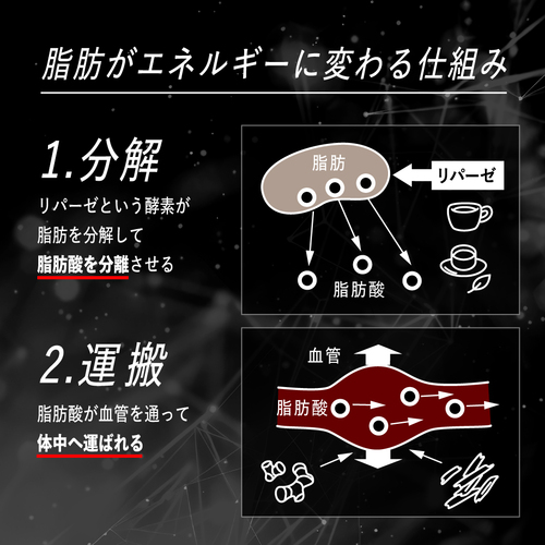 レッドギア　42粒 お試し 