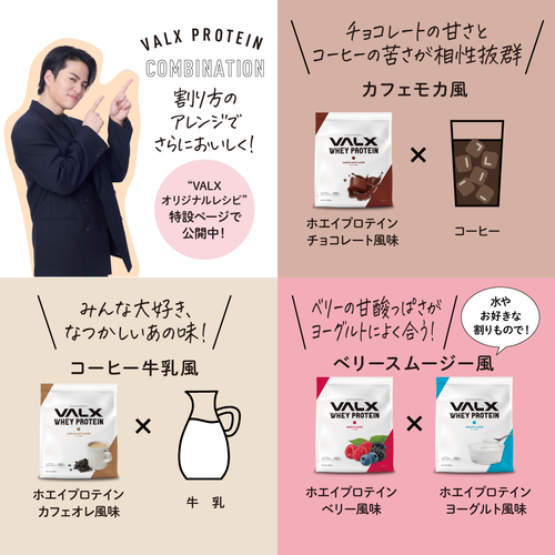 ホエイプロテイン（WPC）420g　 チョコレート風味