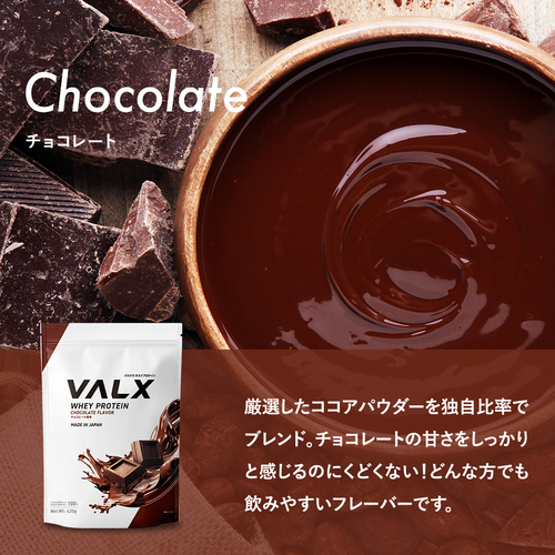 ホエイプロテイン（WPC） 420g チョコレート風味