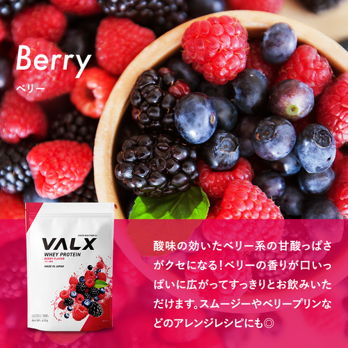 【キャンペーン】WPCホエイプロテイン 420g チョコレート風味