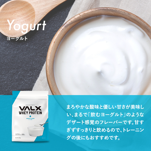 ホエイプロテイン（WPC）420g　 チョコレート風味