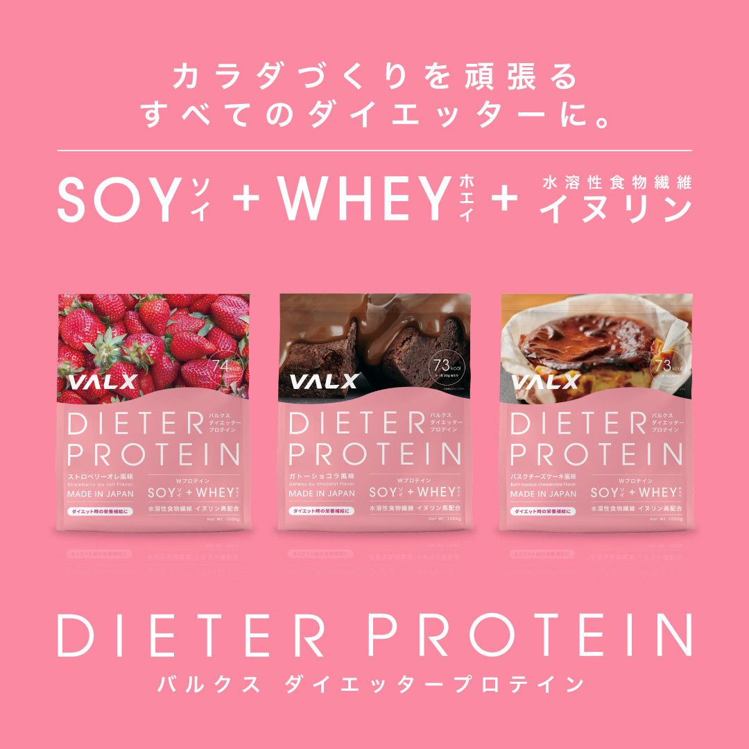 ダイエッタープロテイン 1kg ガトーショコラ風味