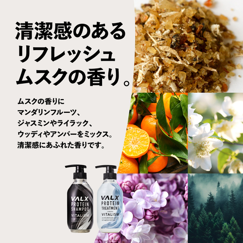 VALXプロテインシャンプー/トリートメント シャンプー