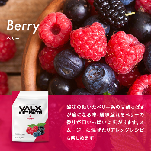 ホエイプロテイン（WPC）420g　 チョコレート風味