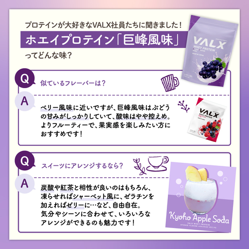 ホエイプロテイン（WPC）600g  巨峰風味