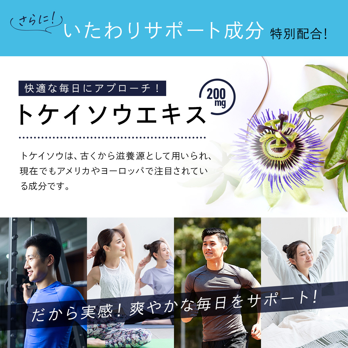 【サプリ盛り合わせセットB】