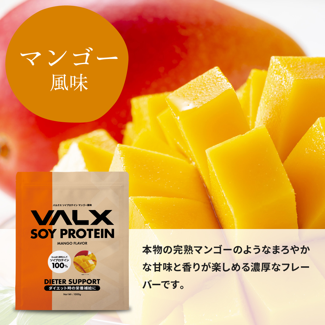 ソイプロテイン 1kg 