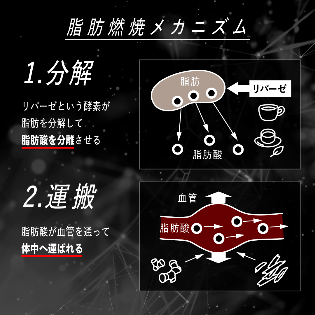 レッドギア+ナクセルセット