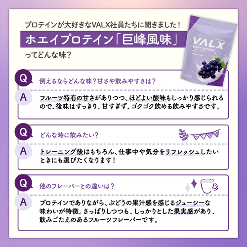 ホエイプロテイン（WPC）600g  巨峰風味