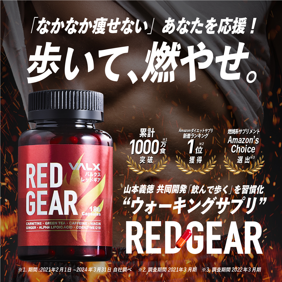 レッドギア+ナクセルセット