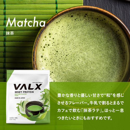 ホエイプロテイン（WPC） 1kg チョコレート風味