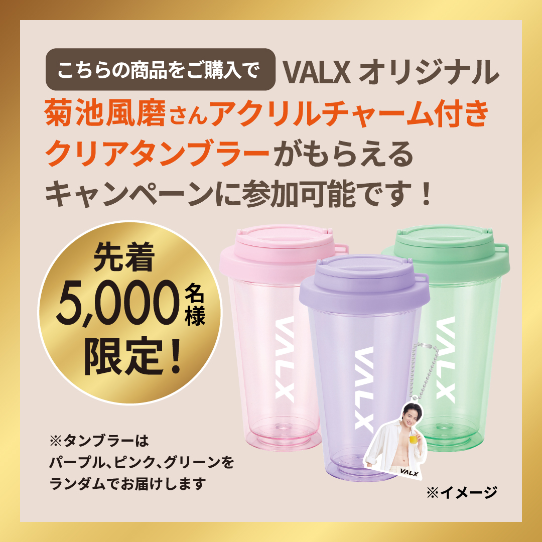 VALXプロテインキャンペーンセットB マンゴー風味