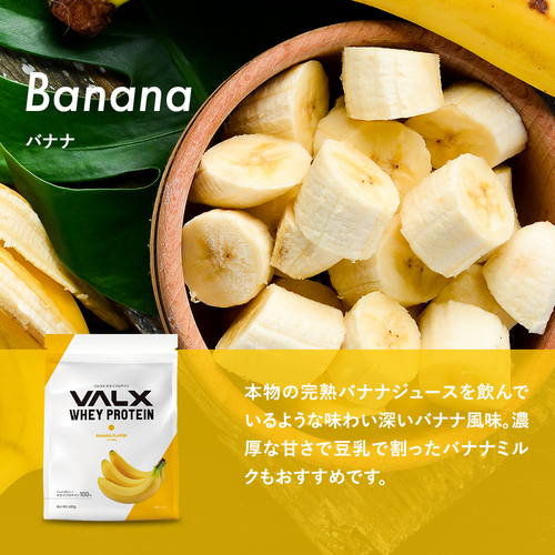 ホエイプロテイン（WPC）420g　 チョコレート風味