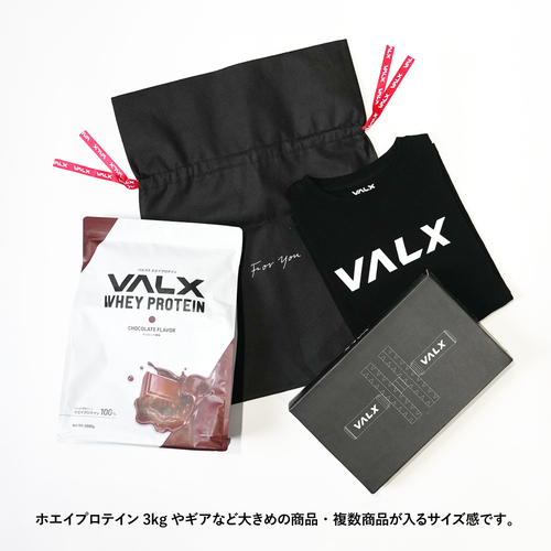 VALX オリジナルギフトバッグ(L) 