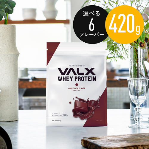 ホエイプロテイン（WPC）420g マスター