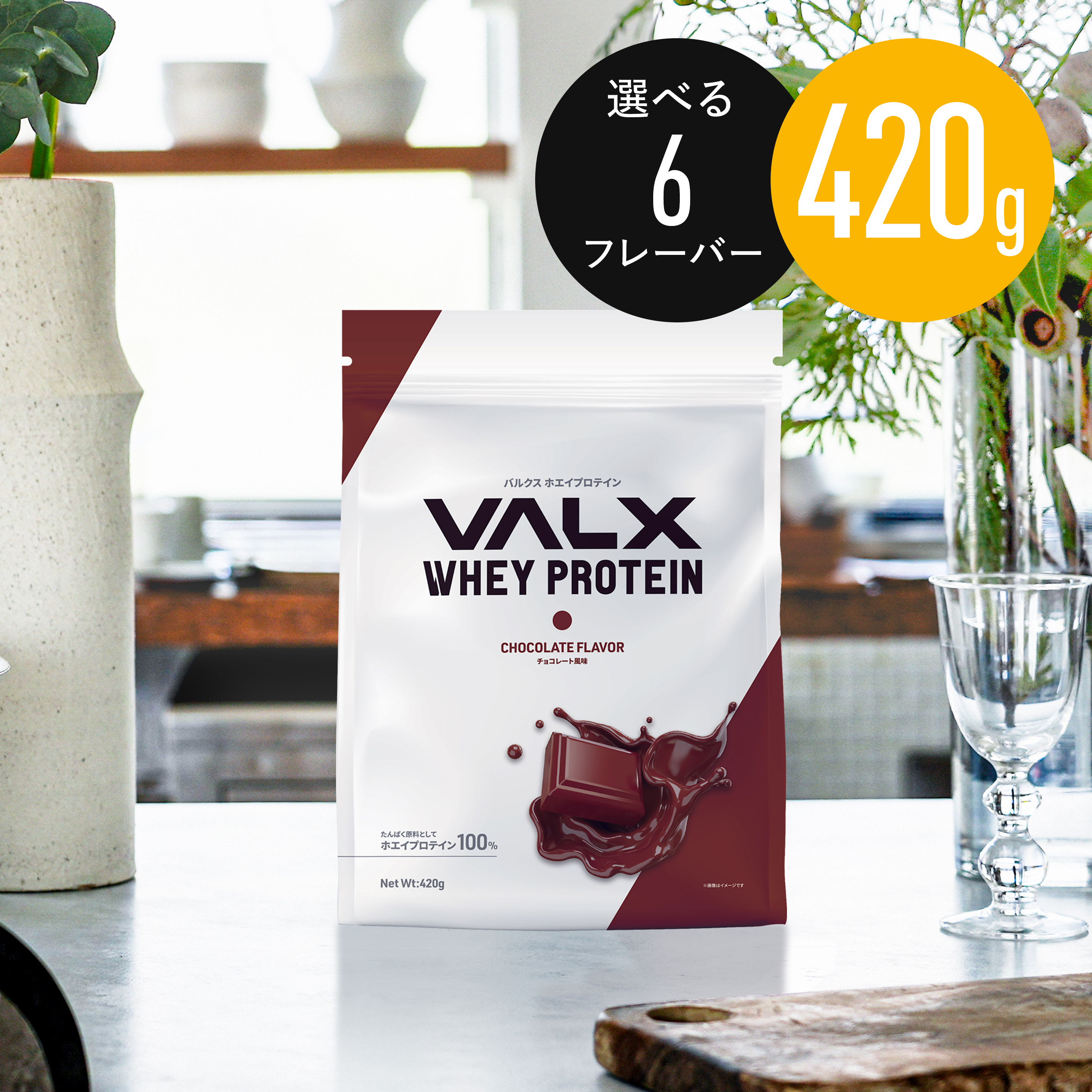 ホエイプロテイン（WPC）420g マスター