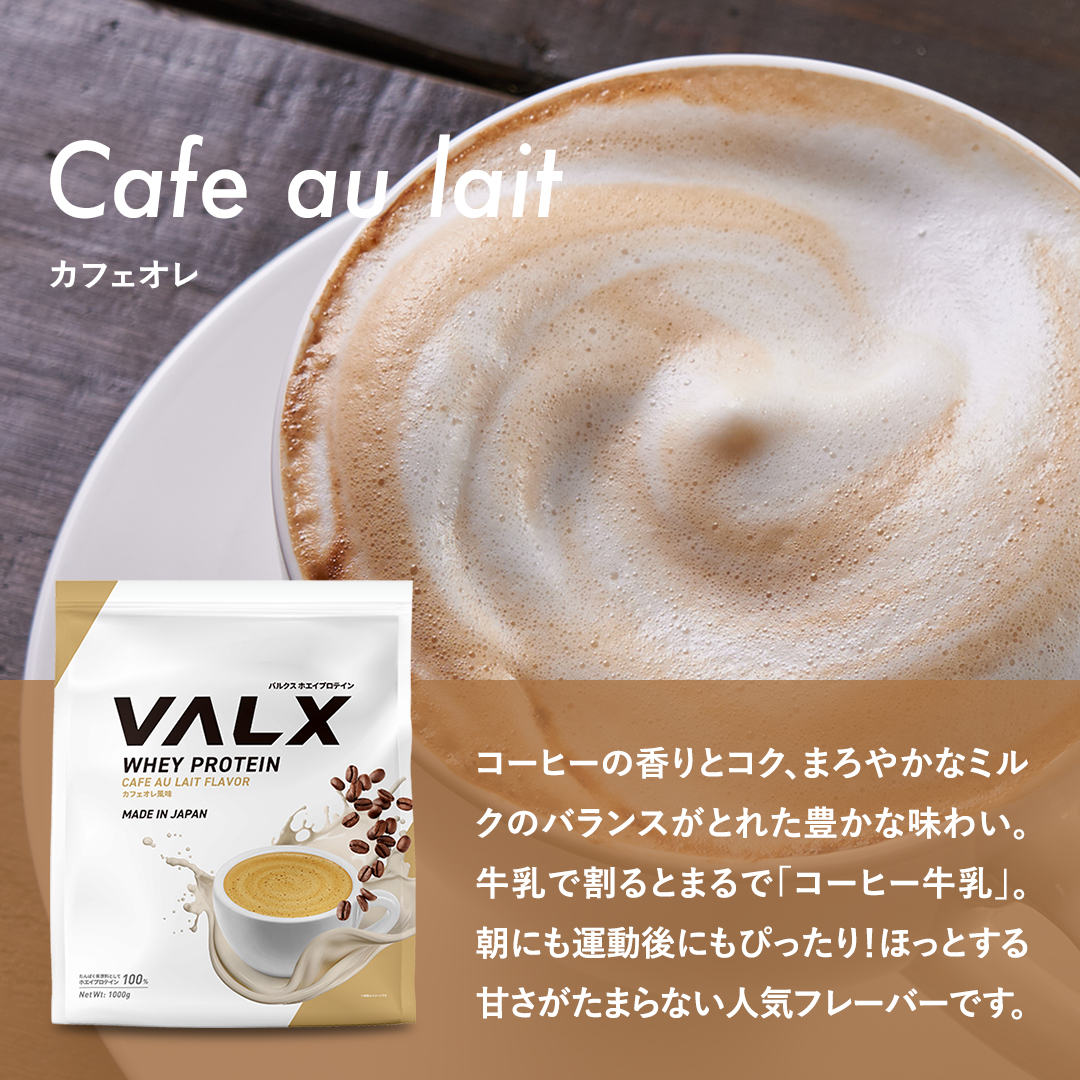 ホエイプロテイン（WPC） 420g チョコレート風味