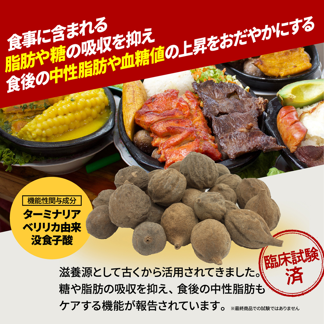 レッドギア+ナクセルセット