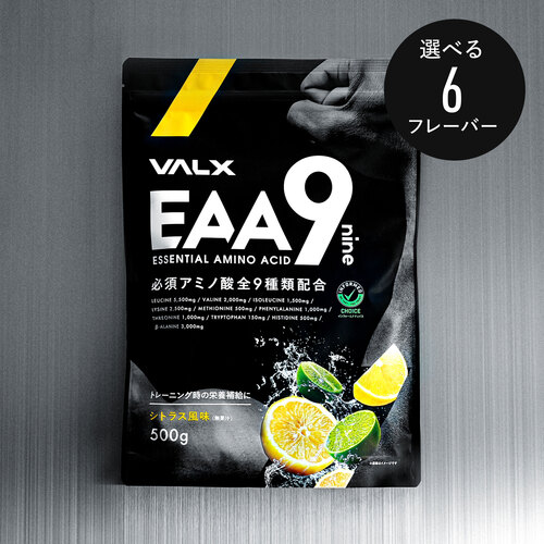 VALX EAA9 山本義徳 シトラス風味 2袋 VALX EAA9 Produced by 山本義徳 シトラス風味 2パック