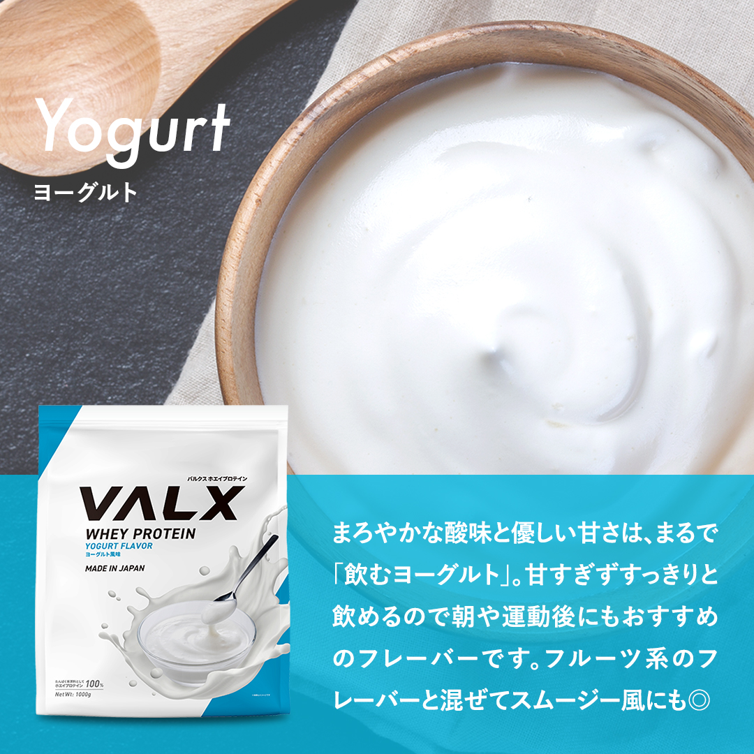 ホエイプロテイン（WPC） 420g チョコレート風味