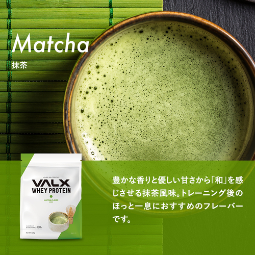 ホエイプロテイン（WPC）420g　 チョコレート風味