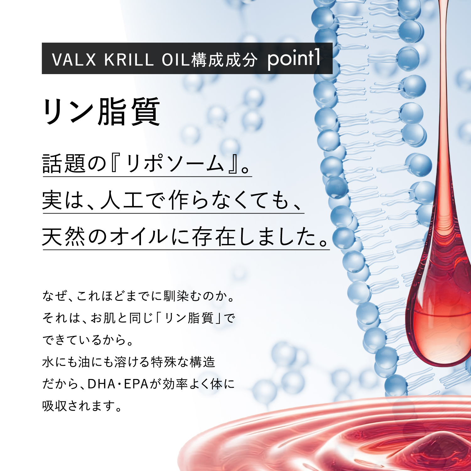 【キャンペーン】クリルオイル