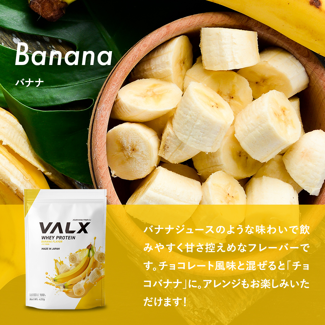 ホエイプロテイン（WPC） 420g チョコレート風味