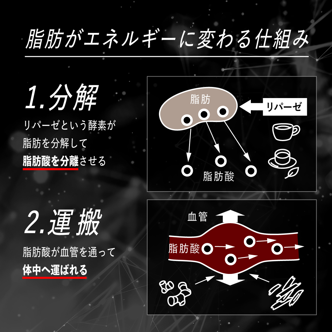 レッドギア+ナクセルセット