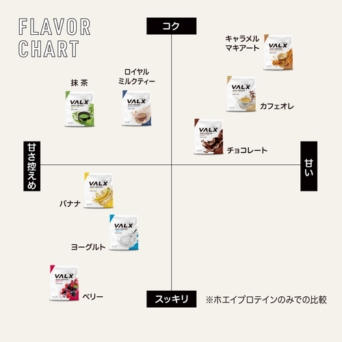 ホエイプロテイン（WPC） 1kg+ビタミン2種セット チョコレート風味