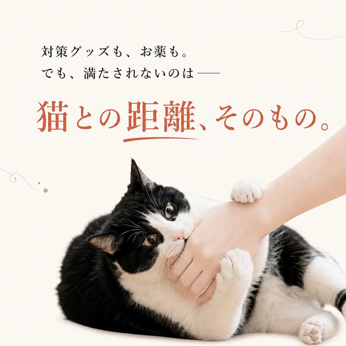 【定期便】Dr.ネコアレ 人用サプリメント （ゆうパケット）