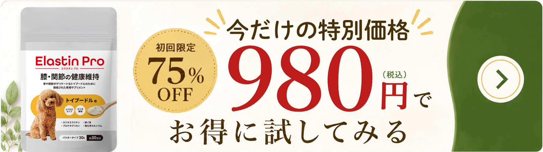980円でお得に試してみる