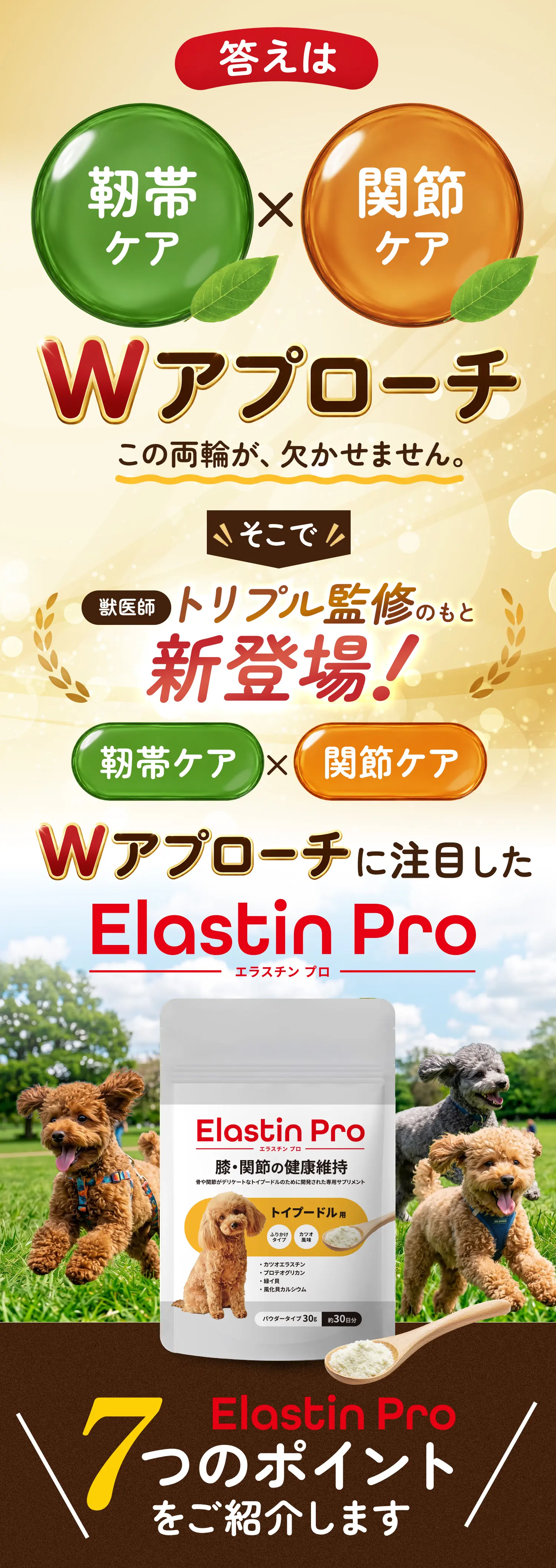 答えはWアプローチ