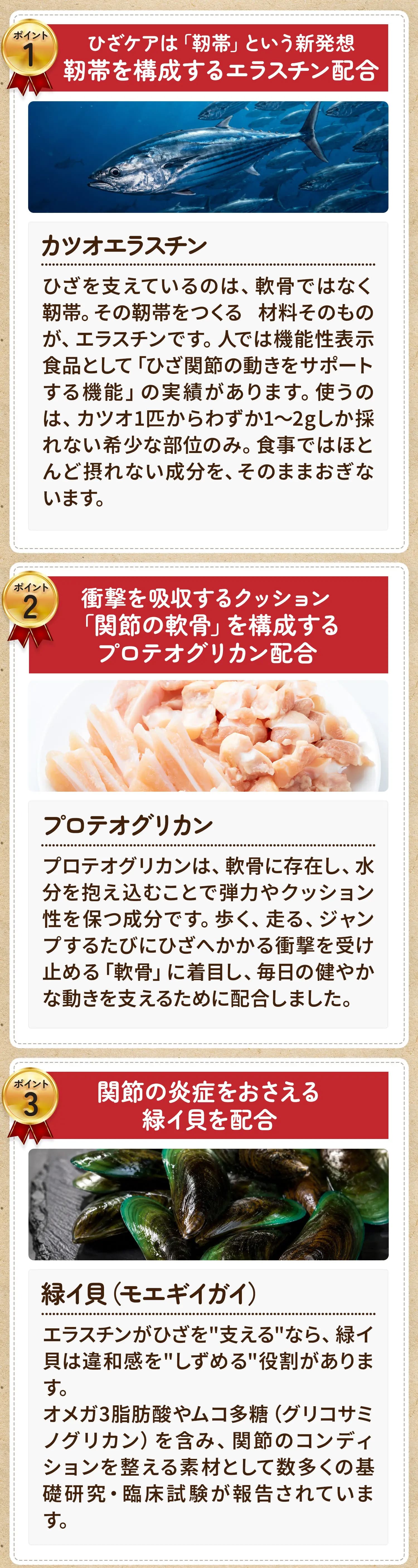 7つのポイント