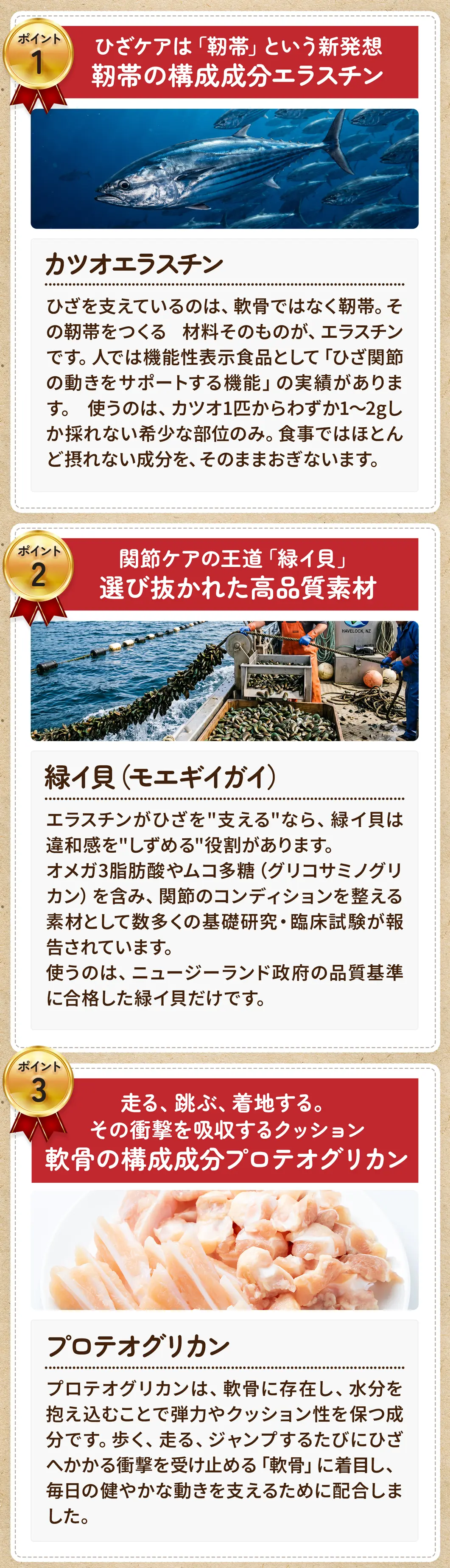 7つのポイント
