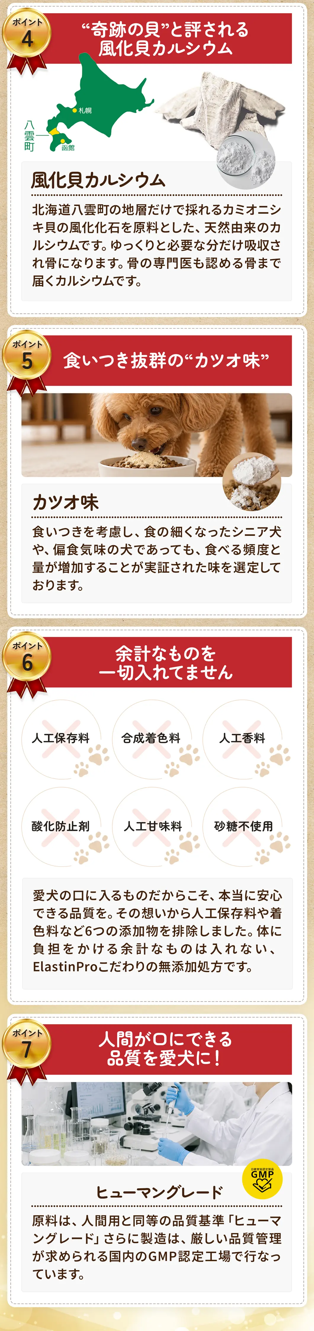 7つのポイント