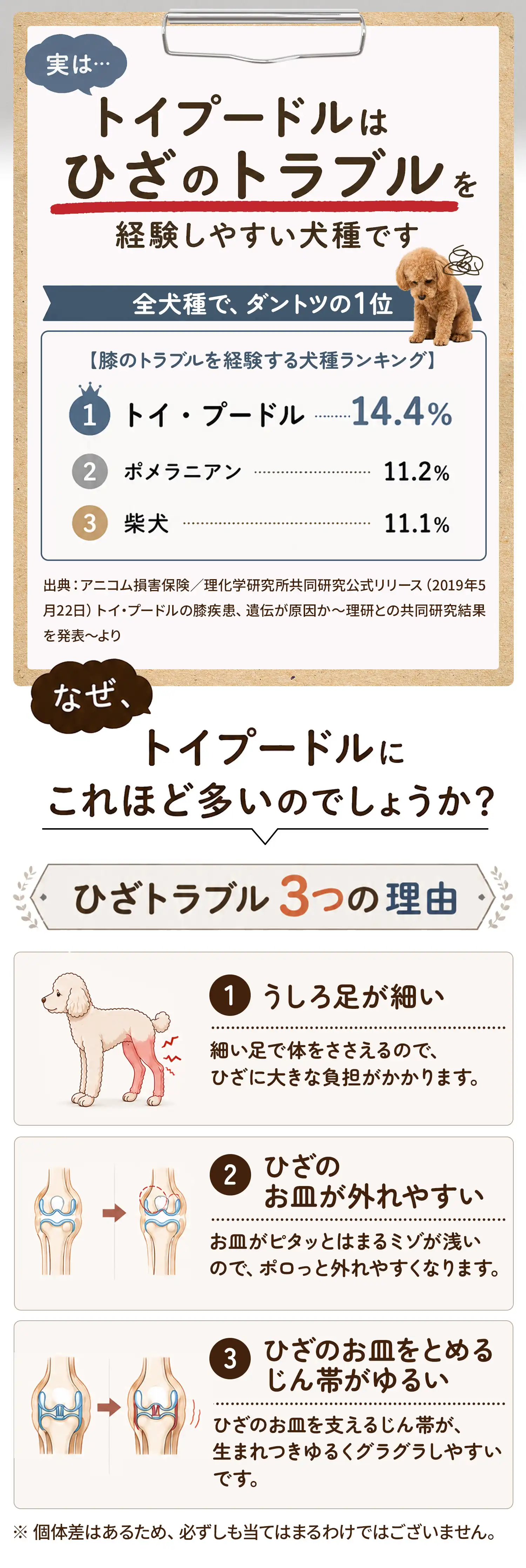 ひざトラブル３つの理由