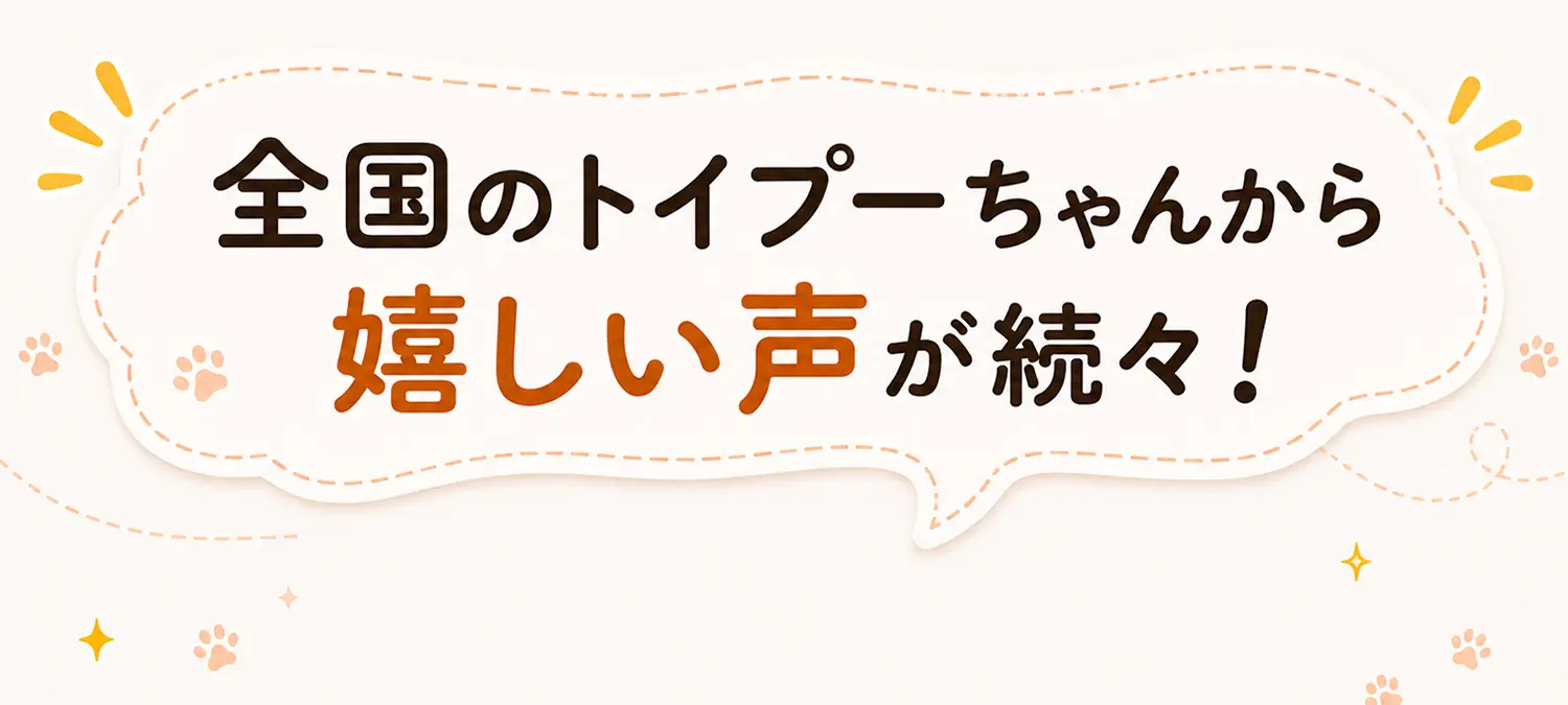 全国のトイプーちゃんから嬉しい声が続々！