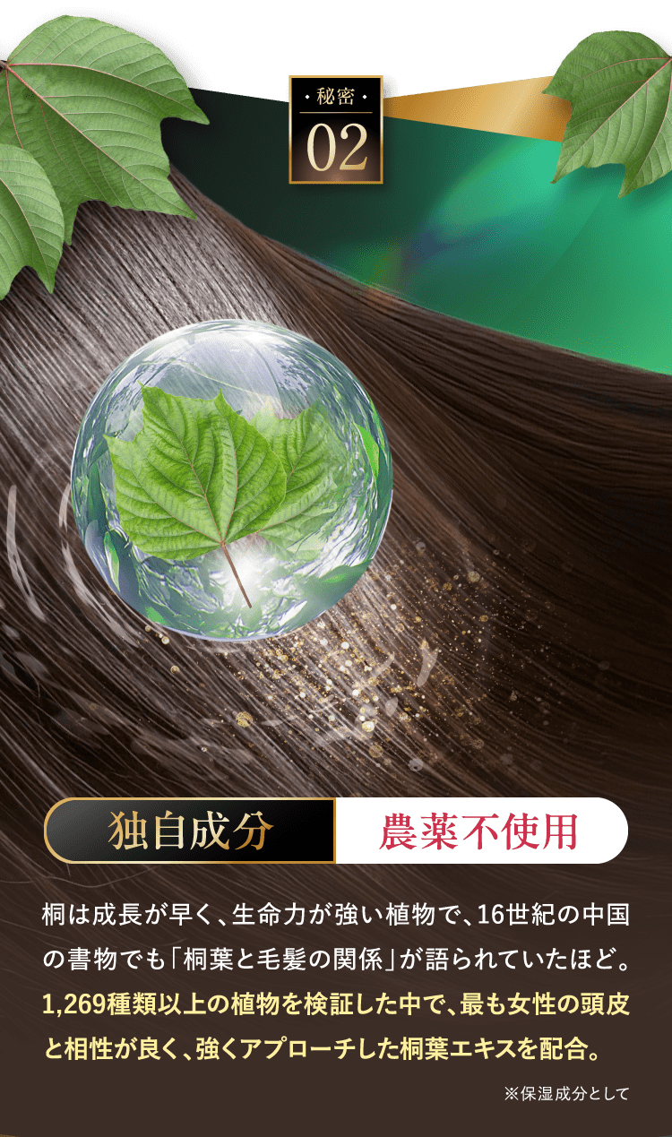 秘密02