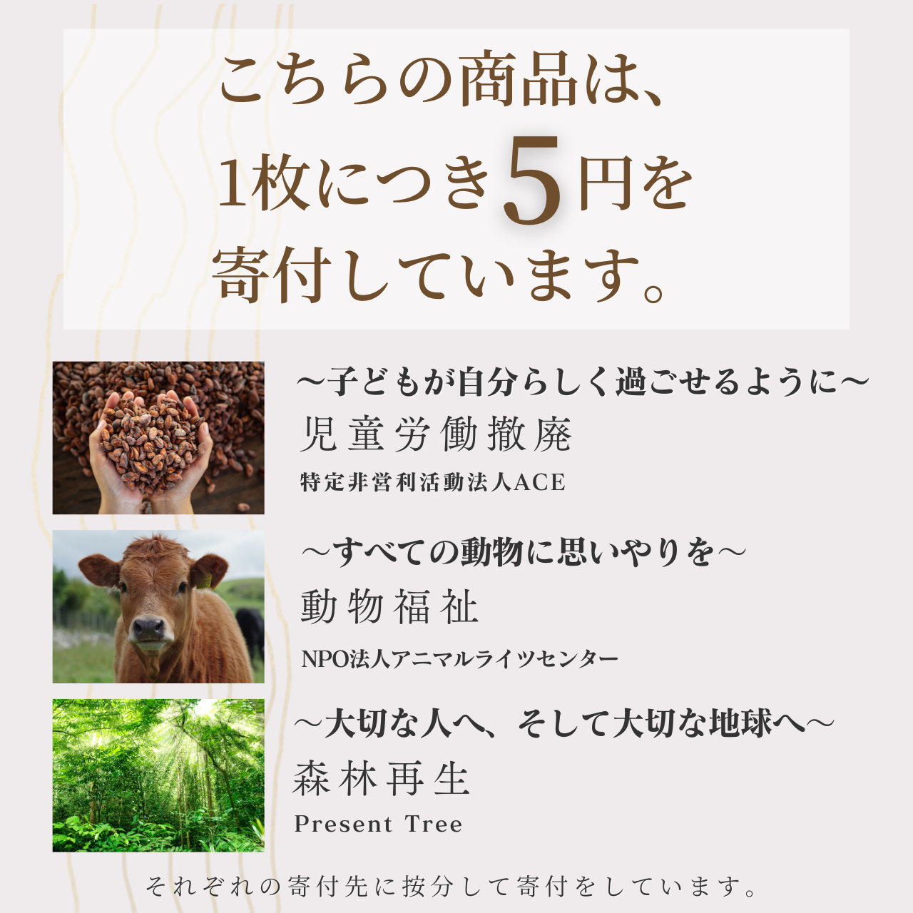 発芽ナッツ　ー整えるナッツー　（45g/100g）｜紙箱パッケージ・贈り物にも 内容量: 45g