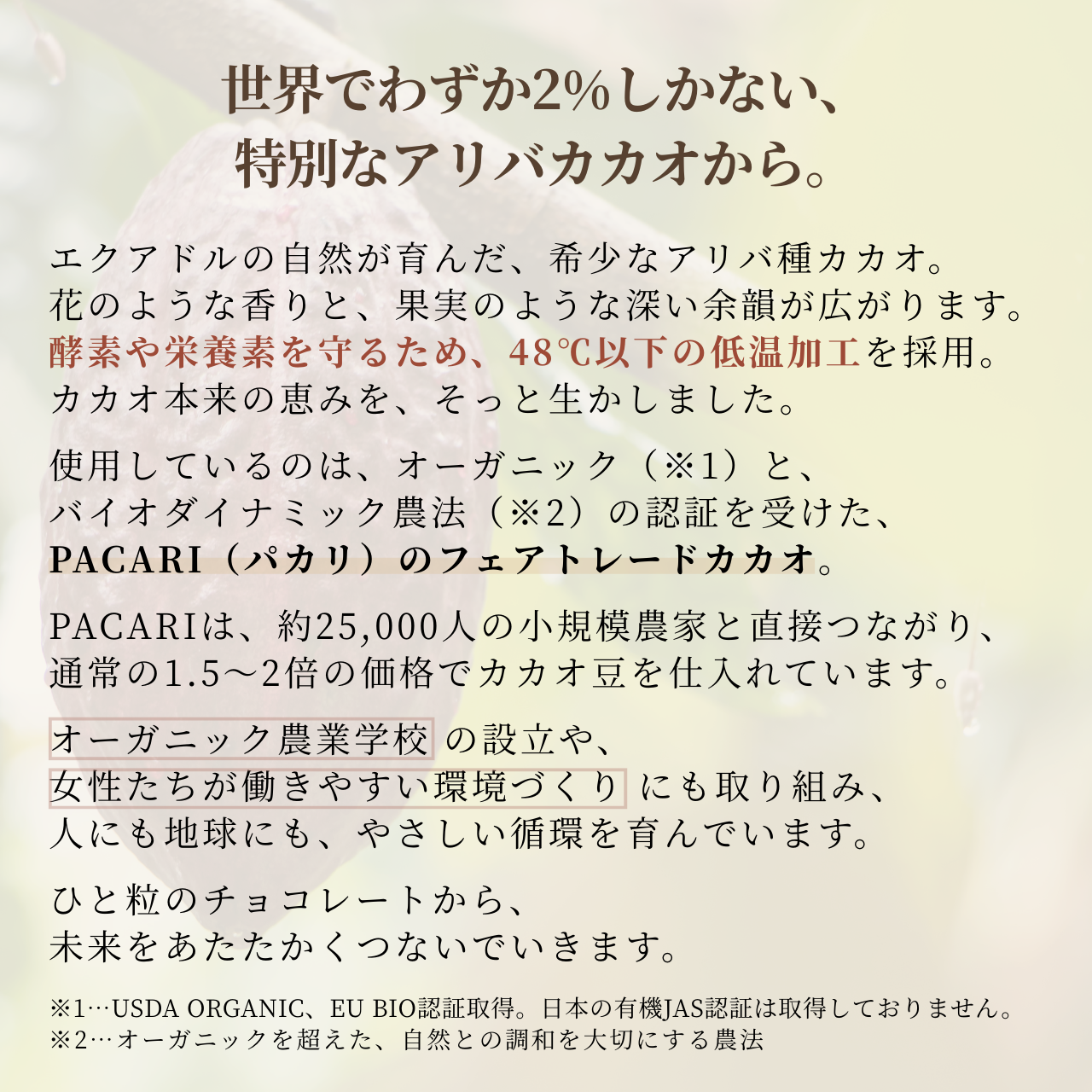 季節・数量限定＜塩レモン×山口県産はちみつ＞【お得サイズ】