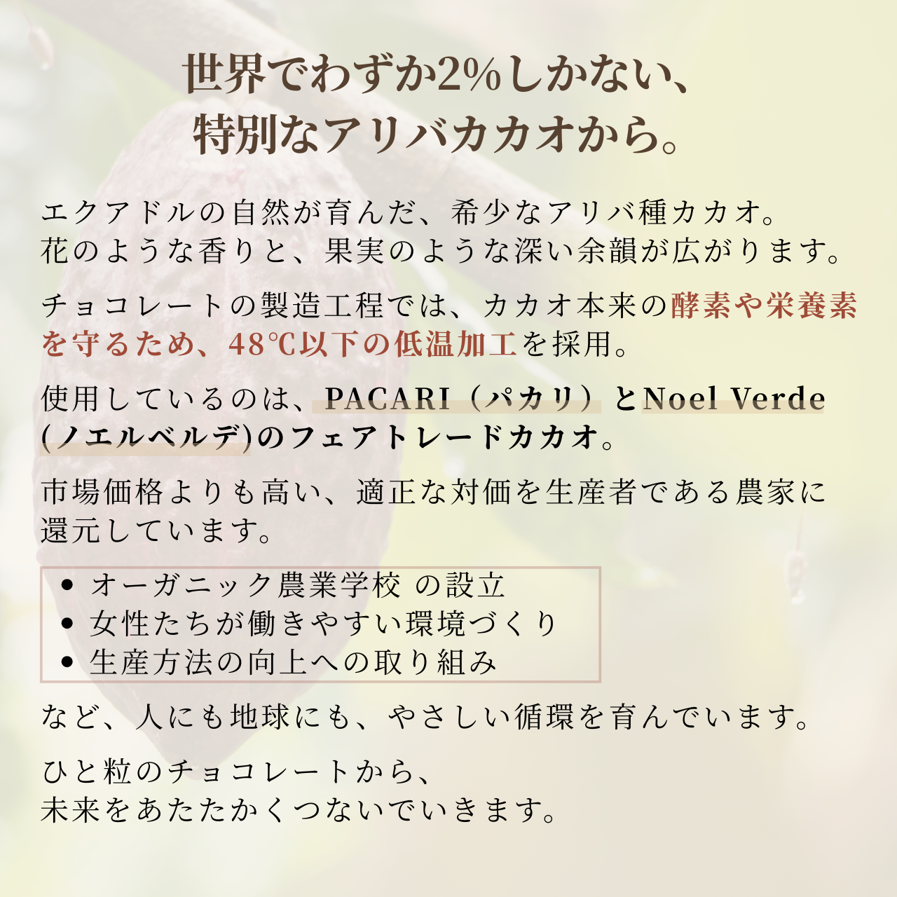 【ホワイトデーギフト】オリジナル巾着入り：wellty chocolate2枚セット 食べ比べセット: kiso -ヘンププロテイン- × uruoi -はちみつ-