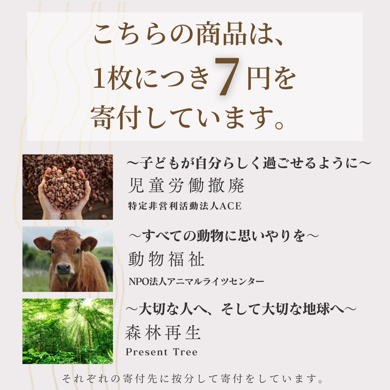 〜バレンタイン予約〜　乳酸菌を含む  竹の粉入り。＜totonoi -竹-＞