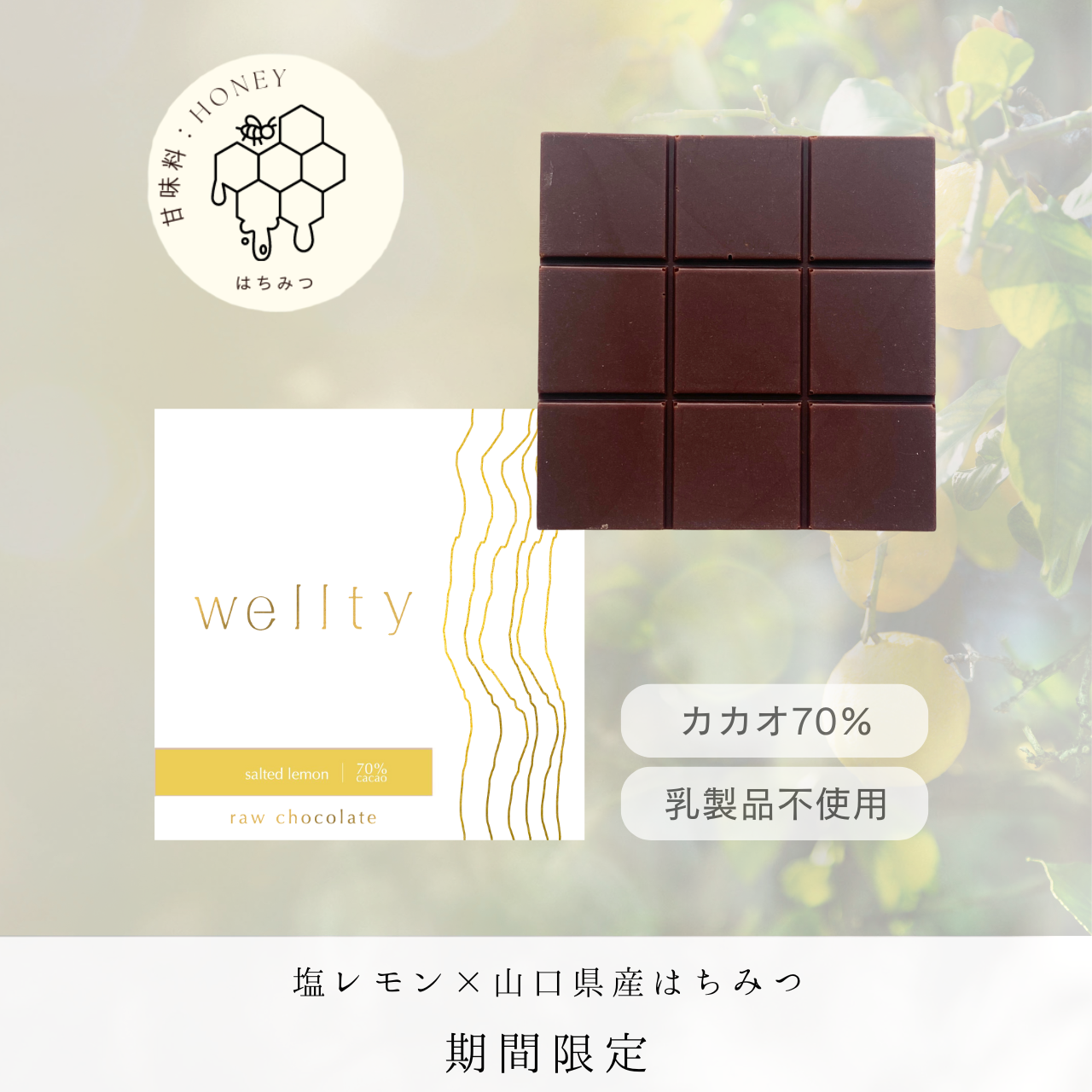 季節・数量限定＜塩レモン×山口県産はちみつ＞