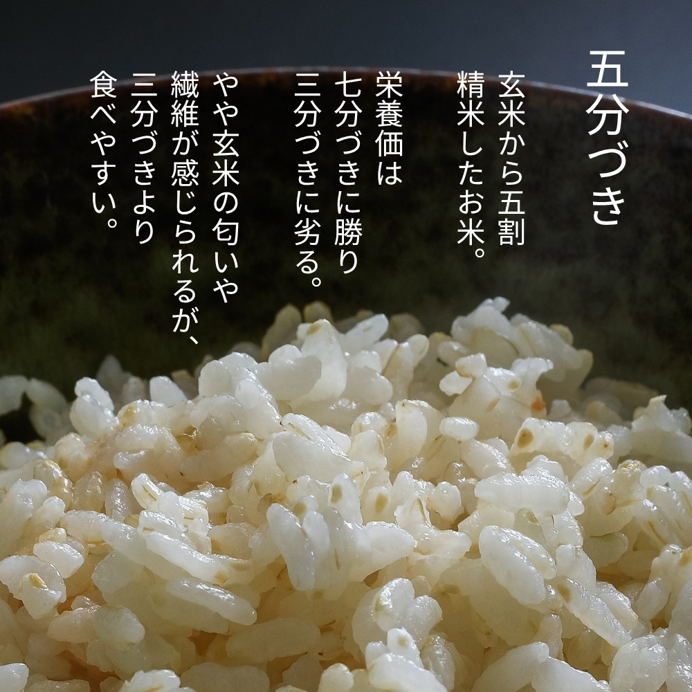 【五分づき】北海道産・北斗米ななつぼし 5kg【令和8年産】