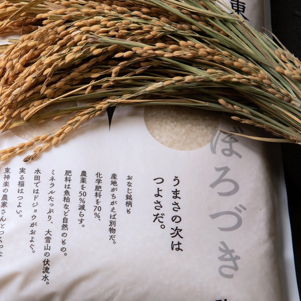北海道産・北斗米おぼろづき 5kg【令和7年産】