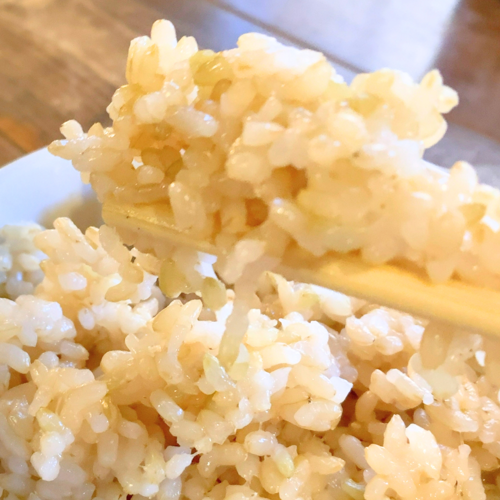 【玄米】北海道産・北斗米ななつぼし 5kg【令和8年産】