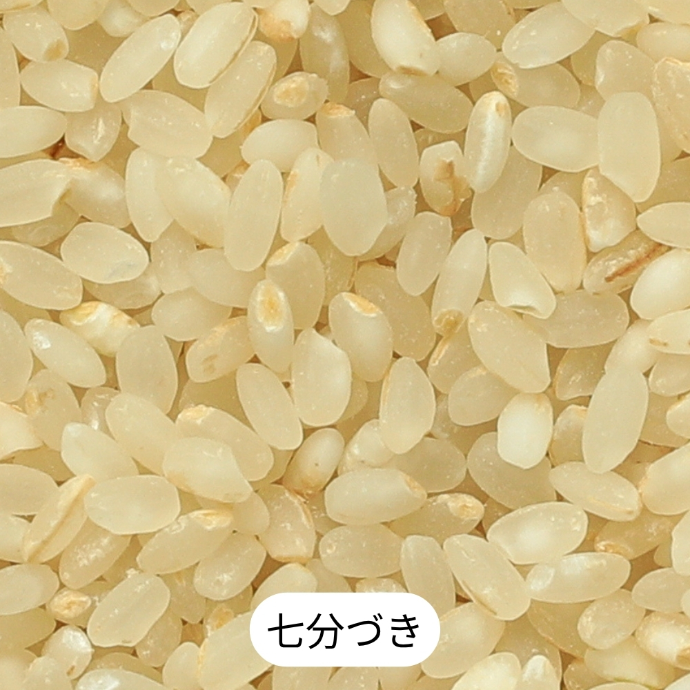 【七分づき】北海道産・北斗米ななつぼし 5kg【令和8年産】