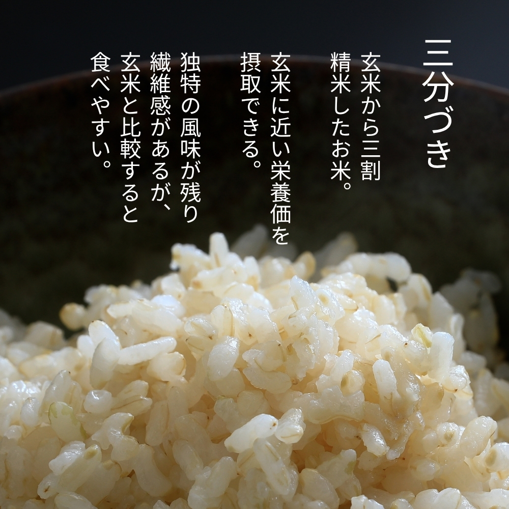 【三分づき】北海道産・北斗米ななつぼし 5kg【令和8年産】