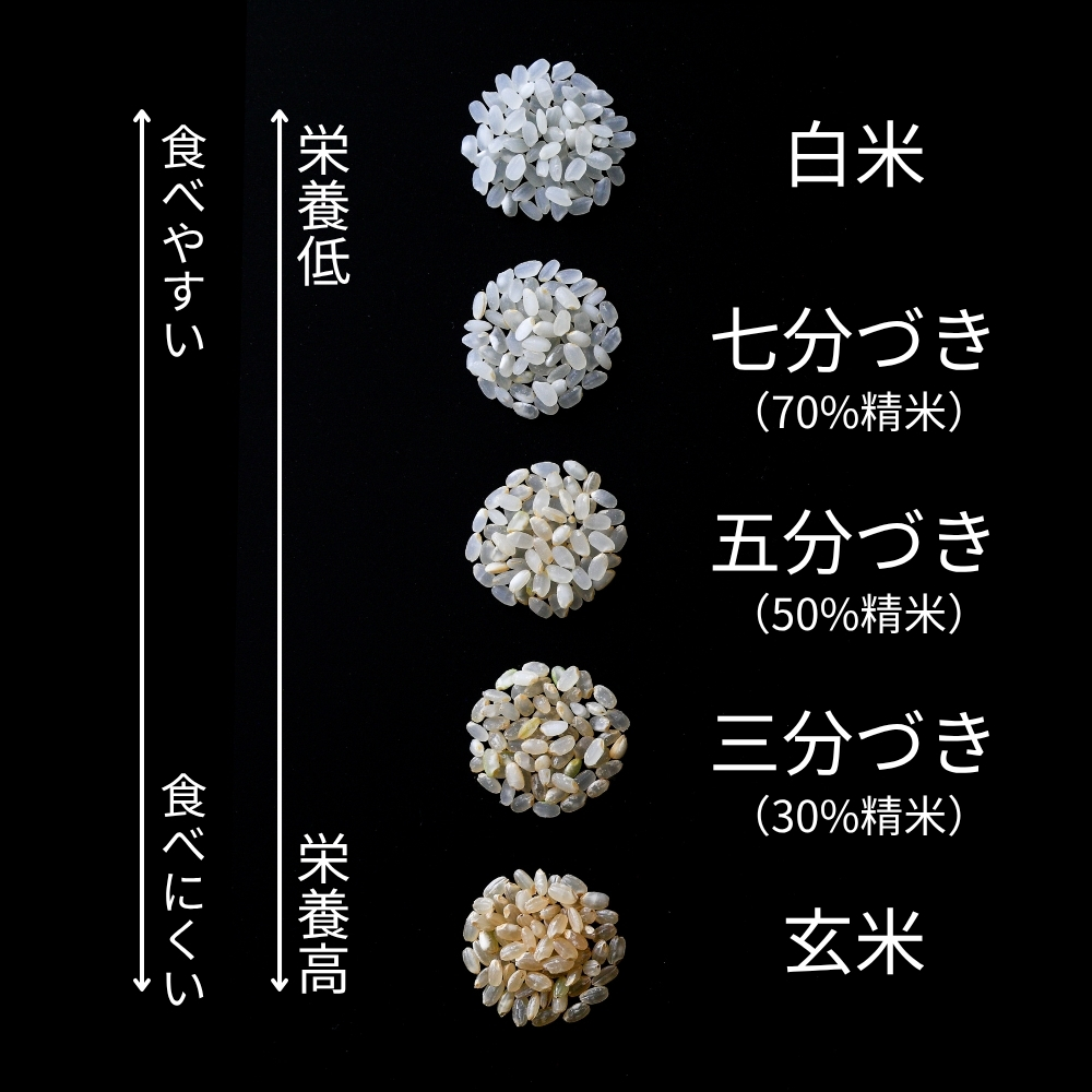 【三分づき】北海道産・北斗米ななつぼし 5kg【令和8年産】